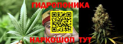 тгк Канаш
