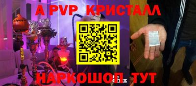тгк Канаш