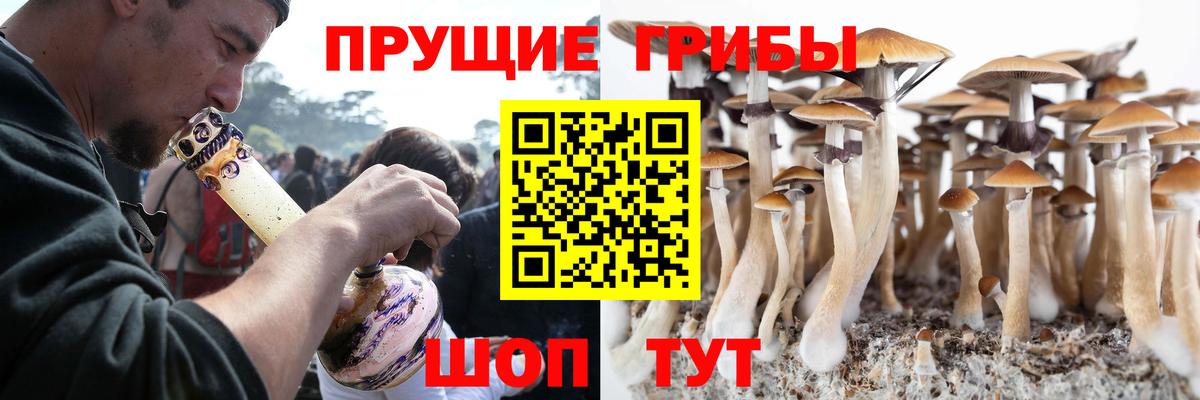 Кропоткин  как найти закладки  Псилоцибиновые грибы мухоморы  Вход с VPN  Псилоцибиновые грибы мицелий 